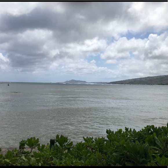 Meet your Posher, Lynne - Picture 1 of 1